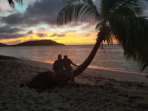 fiji sunset tree